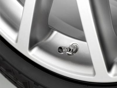 All Audi Personal Accessories Valve Stem Caps (for alumi 4L0-071-215-A