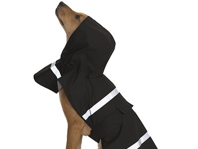 All Audi personal accessories Dog Rain Jacket